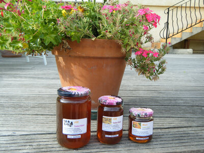 Miel d'été origine berthenon