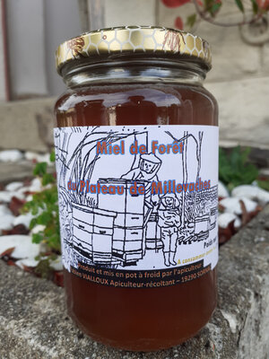 Miel de forêt 500g