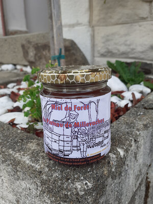 Miel de forêt 250g