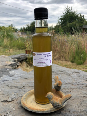 Sirop d'agastache