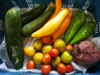 Légumes très mûrs ou abîmés