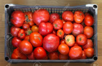Caisse de 5 kg tomates