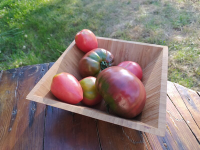 Duo de tomates anciennes