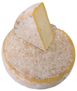 Tomme jeune