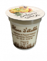 Yaourt aux fruits exotique