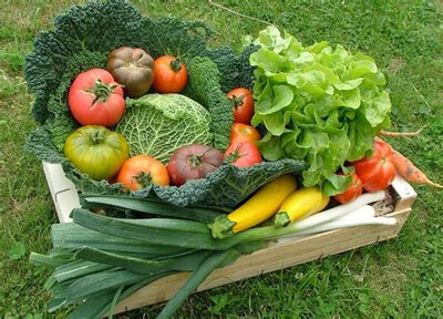 Petit panier de légumes