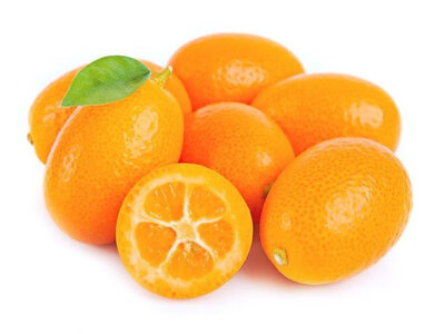 Oranger kumquat en pot de 20 cm