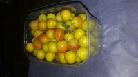 Mirabelles bio 3 kg