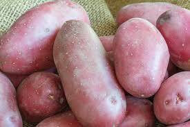 Pomme de terre, peau rouge