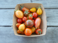 Tomates apéritives en mélange