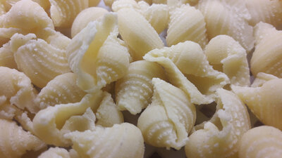 Conchigli rigate - pâte fraîche