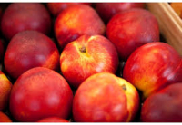 Nectarines en plateaux