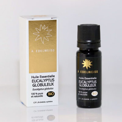 Eucalyptus globuleux bio