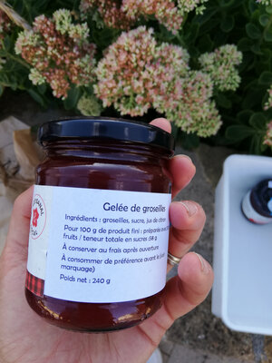 Gelée de groseilles
