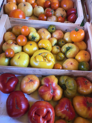 Mix tomates anciennes