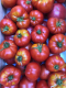 Mix tomates anciennes - image 3