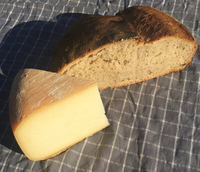 Tomme de brebis 4mois d’affi