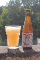 Bière à la mirabelle