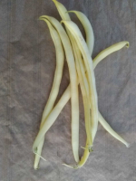 Haricots beurre filet