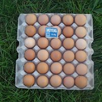 30 oeufs fermier calibre moyen