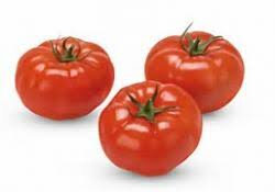 Tomates à farcir