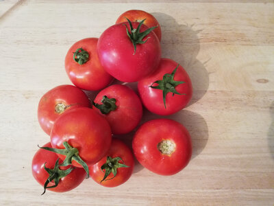 Tomates bio noire de crimée