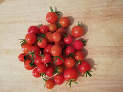 Tomates cerises