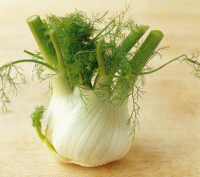Fenouil bio