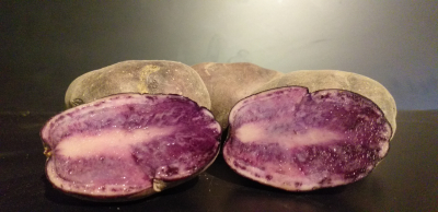Pomme de terre bleue d'artois