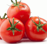 Tomates cocktail bio