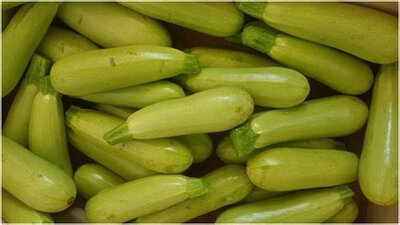 Courgette blanche