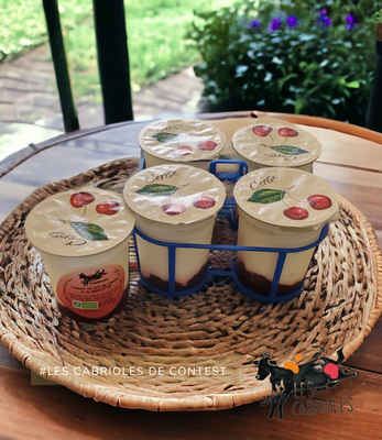 4 yaourts à la cerise - lait de chèvre