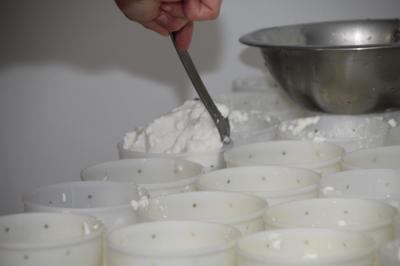 Fromage au lait cru de chèvre