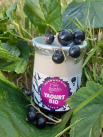 Yaourt bio cassis
