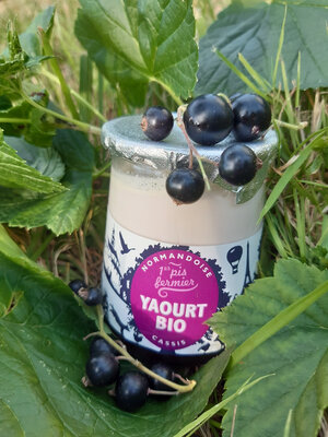 Yaourt bio cassis