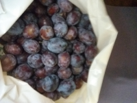 Quetsches bio en 3 kg