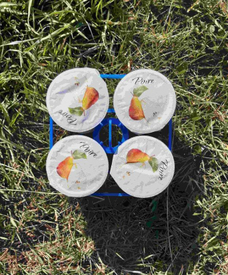 4 yaourts à la poire - lait de chèvre