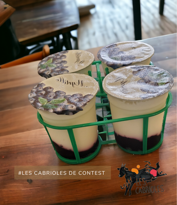 4 yaourts à la myrtille lait de chèvre