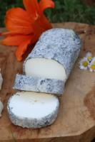 Bûche cendrée affinée - lait cru chèvre