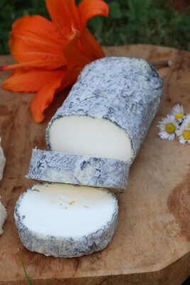 Bûche cendrée affinée - lait cru chèvre