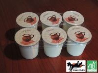 6 yaourts nature - lait de chèvre -