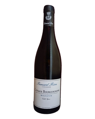 Coteaux bourguignons chardonnay 2022