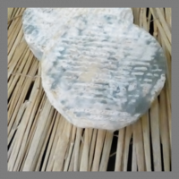 Pérail de brebis aveyronnais