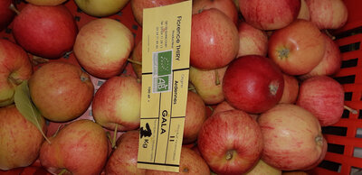 Pommes gala bio 1kg