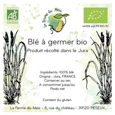 Blé à germer