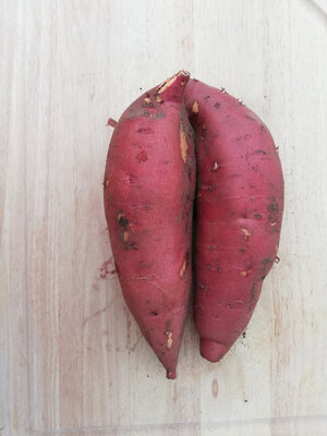 Patate douce