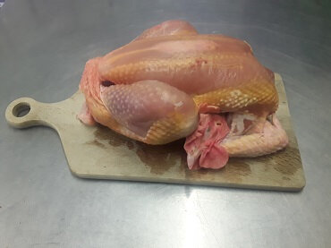 Poulet 1.7 kg