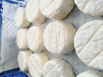 Crottin de chevre  demi sec