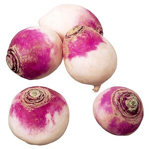 Navet violet bio