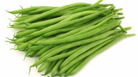 Haricot vert ramassés a la main